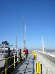 CARLA Antenna (SF)