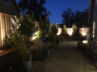 Garden Lights