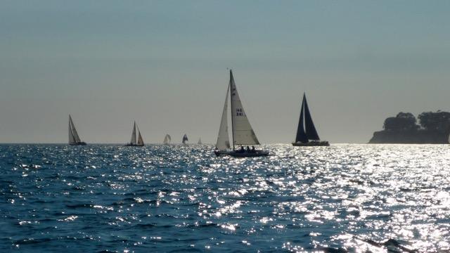 Wet Wednesday Regatta