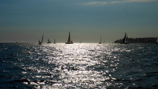 Wet Wednesday Regatta